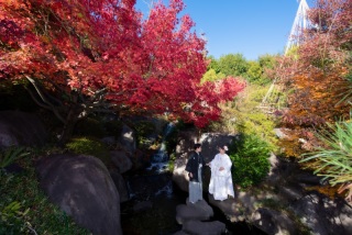 紅葉撮影まだ間に合います♪