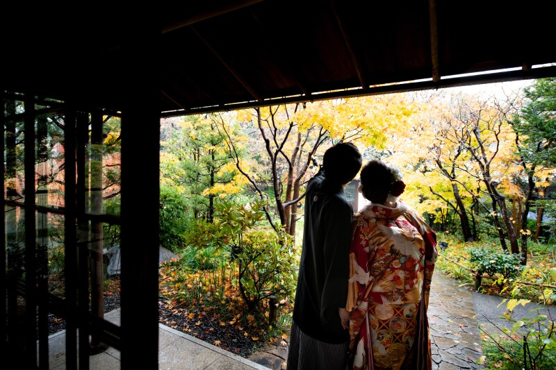 紅葉撮影まだ間に合います♪
