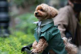 今日のご紹介ショット♪