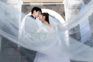 御苑フォトウエディングキャンペーン!