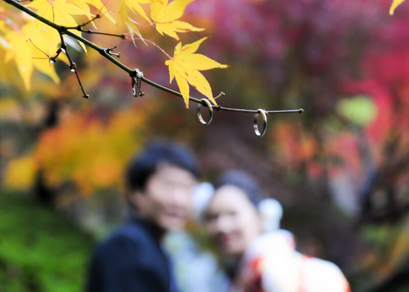 紅葉撮影まだ間に合います♪