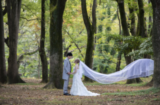 ウエディングベールはなぜ付ける？