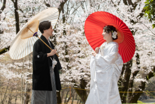 まだ間に合う！！桜ロケ受付中♪