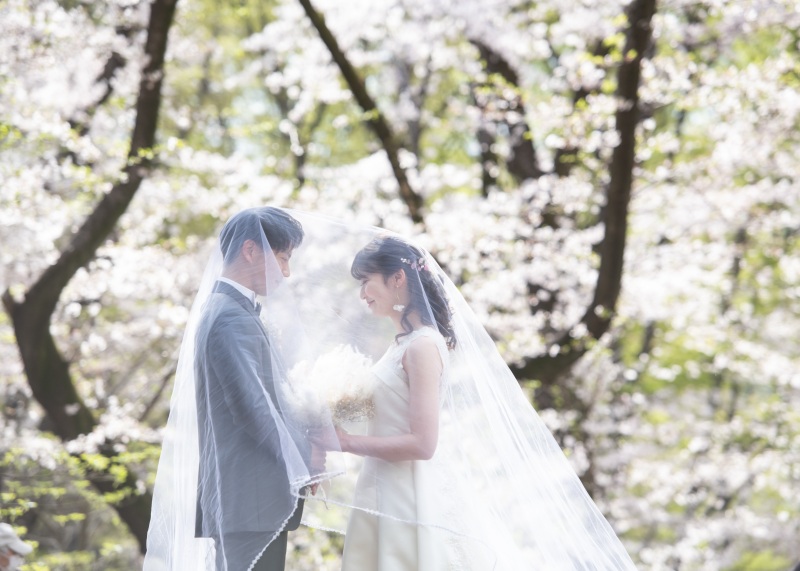 平日ゆったり♡桜ロケが叶う代々木公園で撮影しませんか✨