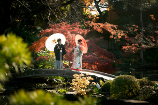 今日のご紹介ショット♪