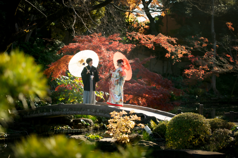 今日のご紹介ショット♪