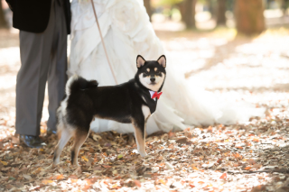 今日のご紹介ショット♪