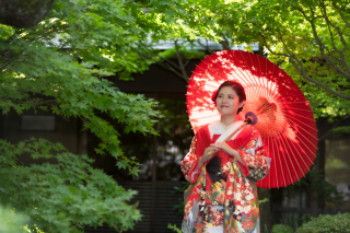 今日のご紹介ショット♪