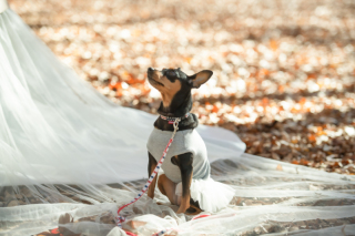 今日のご紹介ショット♪