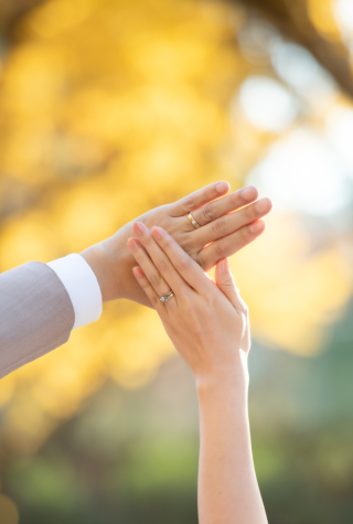 データのお急ぎ納品について♪