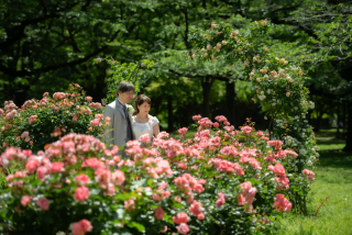 瑞々しい新緑と季節の花々♡ニンキの代々木公園フォト♬