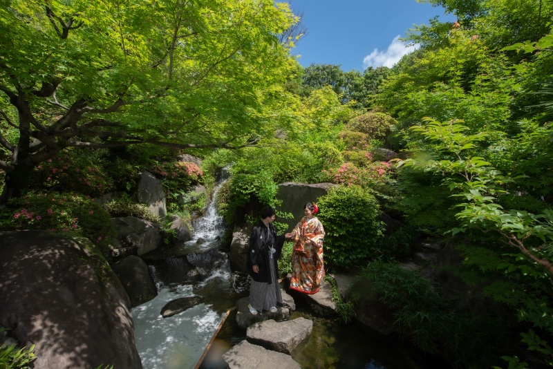 趣ある和室撮影がサービス!お得な庭園撮影プラン♬