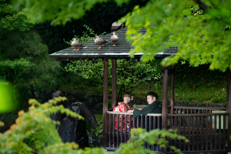 雨天決行できる！目白庭園＋趣ある和室★和装プラン受付中！