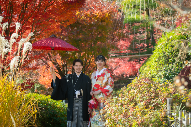 今年の紅葉も綺麗でした!