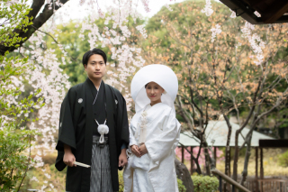 3/27残り１枠！枝垂れ桜の目白庭園＆趣あるお茶室撮影♬