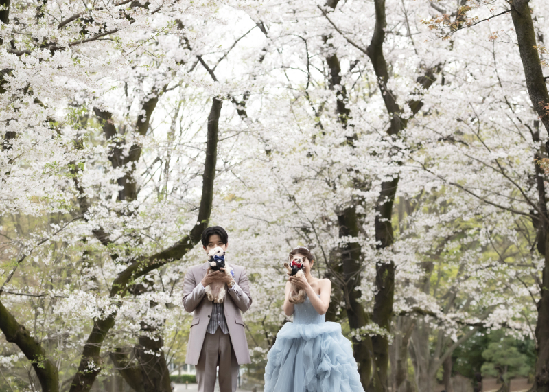 まだ間に合う！桜時期の代々木公園プラン！