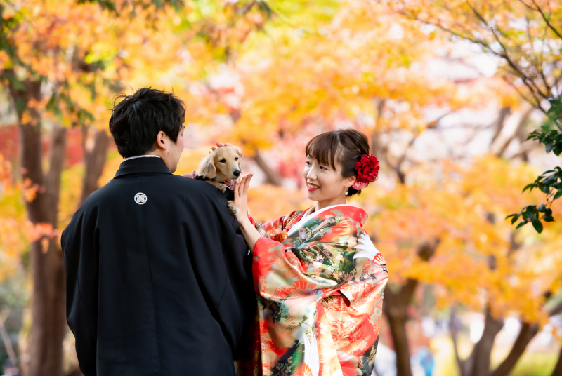 紅葉の代々木公園フォト！お早めにお問合せください♪