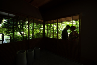 今日のご紹介ショット♪