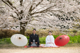 まもなく桜シーズン！お問合せはお早めに♡