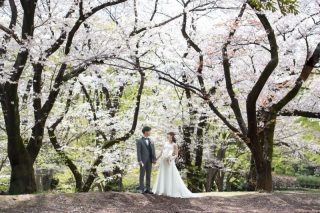 今日のご紹介ショット♪