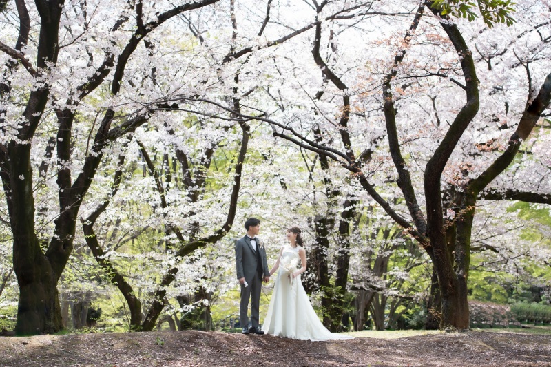 今日のご紹介ショット♪