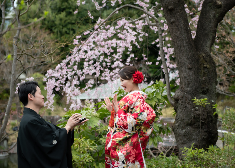 春は枝垂れ桜♡目白庭園の予約まだ間に合います！