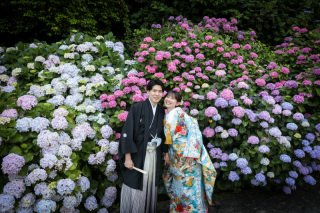 紫陽花ロケーション撮影