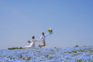 春の絶景撮影★国営ひたち海浜公園
