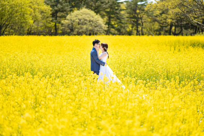 菜の花
