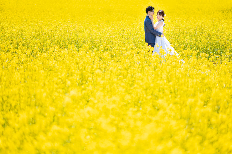 菜の花