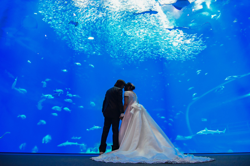 水族館撮影