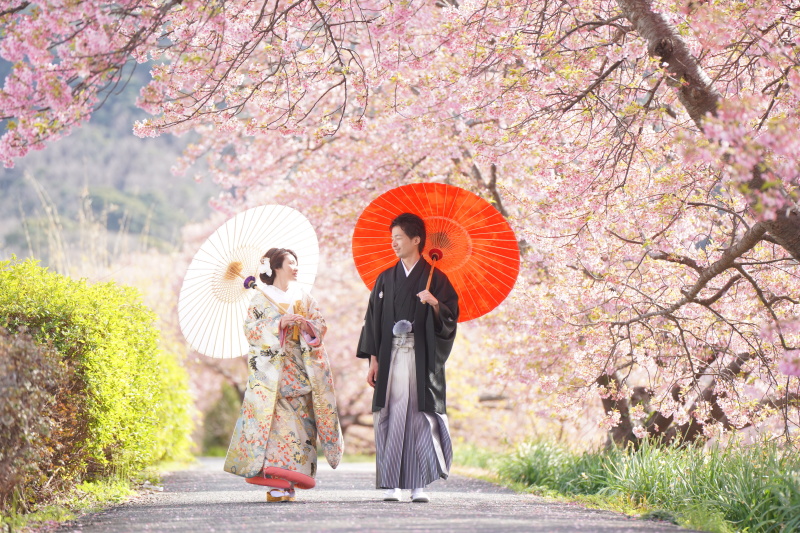 河津桜