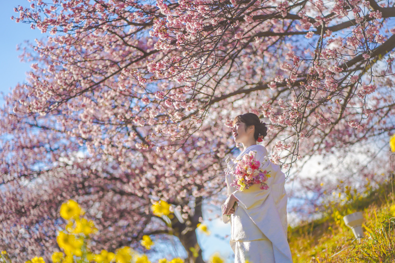 フォトウェディング！2025婚の前撮り！に最もお得で美しい冬フォト 2月は河津桜