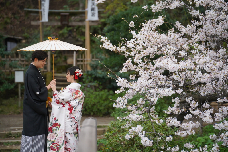 桜ロケーション