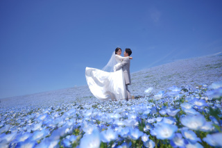 *2025ネモフィラロケーションフォト予約受付中*