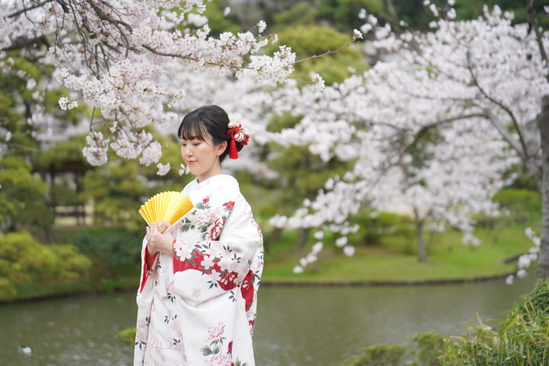 桜ロケーション