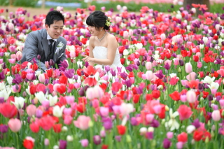 国営ひたち海浜公園
