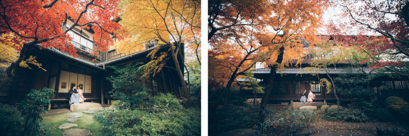 【必見】紅葉フォト特集!