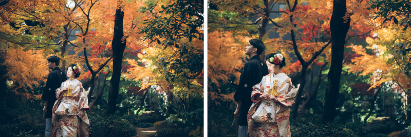 【紅葉フォト】素敵なお写真をご紹介 ～安田邸編～