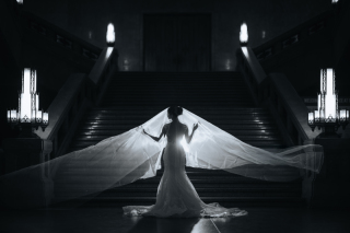  東京国立博物館のお写真のご紹介です！④