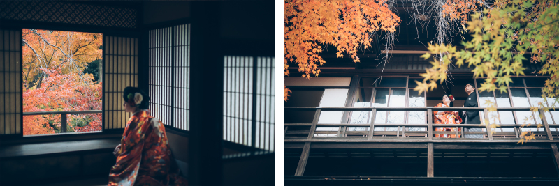 【必見】紅葉フォト特集!