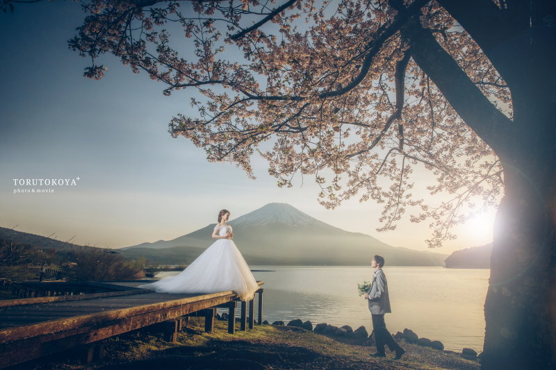 【 富士山 】桜写真のご紹介!