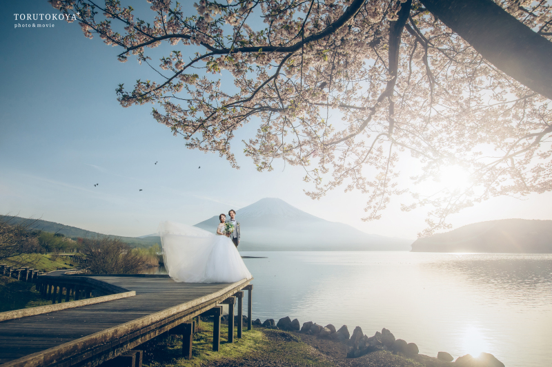 【 富士山 】桜写真のご紹介!