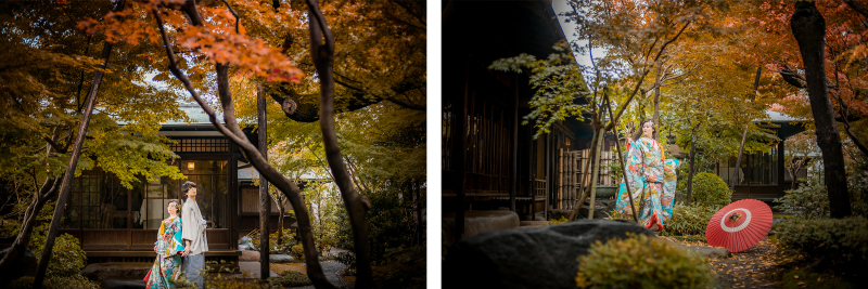 【必見】紅葉フォト特集!