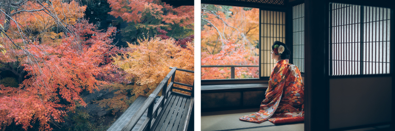 【必見】紅葉フォト特集!