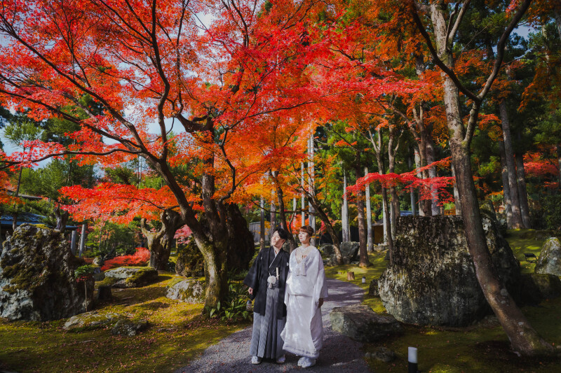 ご予約はお早めに!《大人気の紅葉フォト》