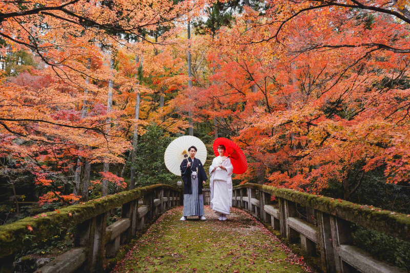 ご予約はお早めに!《大人気の紅葉フォト》