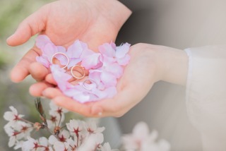 【開花まで残り約1か月！】桜ウエディングフォト受付中✿