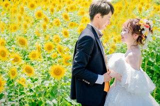 今しか撮れない!富山県で叶える青空とひまわり畑ウェディングフォト