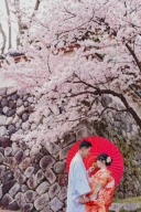 桜ウエディングフォトお支払い総額から1万円OFF！